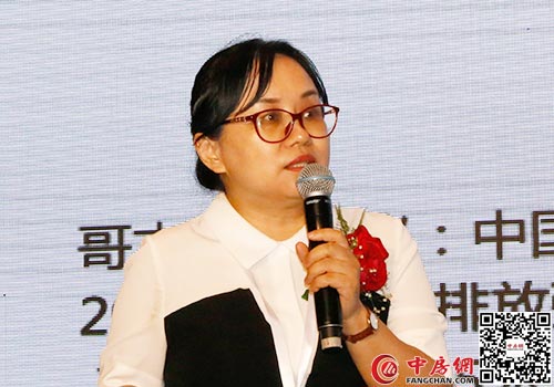 中国人民大学生态金融研究中心副主任、世界银行绿色金融项目技术顾问 蓝虹